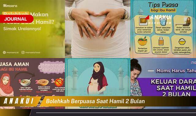 bolehkah berpuasa saat hamil 2 bulan