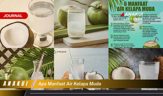 Inilah 8 Manfaat Air Kelapa Muda yang Wajib Kamu Ketahui Inilah 8 Manfaat Air Kelapa Muda yang Wajib Kamu Ketahui