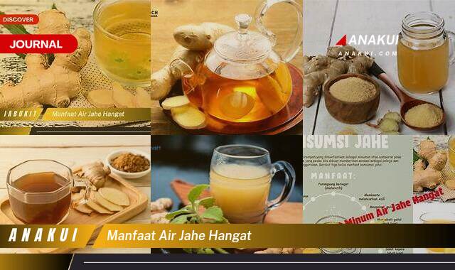 Inilah 10 Manfaat Air Jahe Hangat yang Wajib Kamu Intip Inilah 10 Manfaat Air Jahe Hangat yang Wajib Kamu Intip