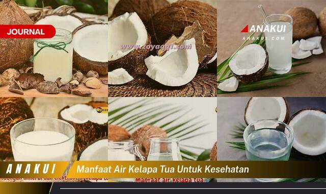 Ketahui 10 Manfaat Air Kelapa Tua untuk Kesehatan yang Tak Disangka