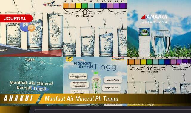 Ketahui 8 Manfaat Air Mineral pH Tinggi yang Wajib Kamu Ketahui