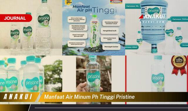Inilah 9 Manfaat Air Minum pH Tinggi Pristine yang Wajib Kamu Ketahui