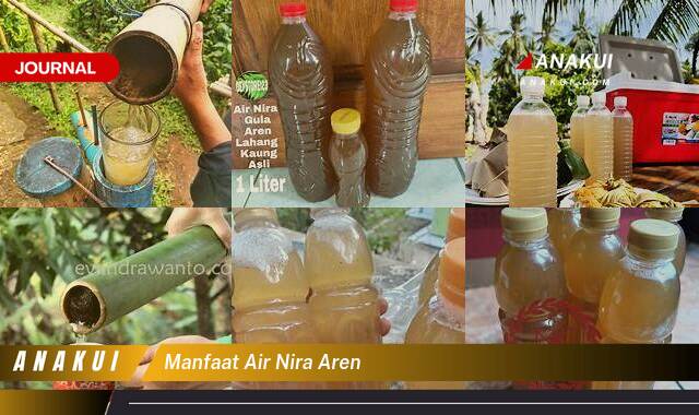 Ketahui 10 Manfaat Air Nira Aren yang Bikin Kamu Penasaran