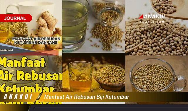 Inilah 8 Manfaat Air Rebusan Biji Ketumbar yang Wajib Kamu Intip
