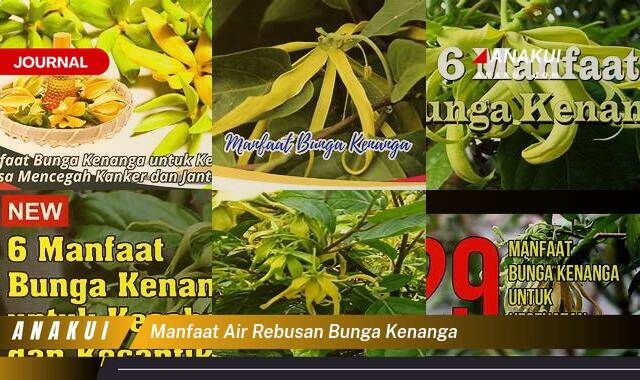 Ketahui 9 Manfaat Air Rebusan Bunga Kenanga yang Wajib Kamu Intip