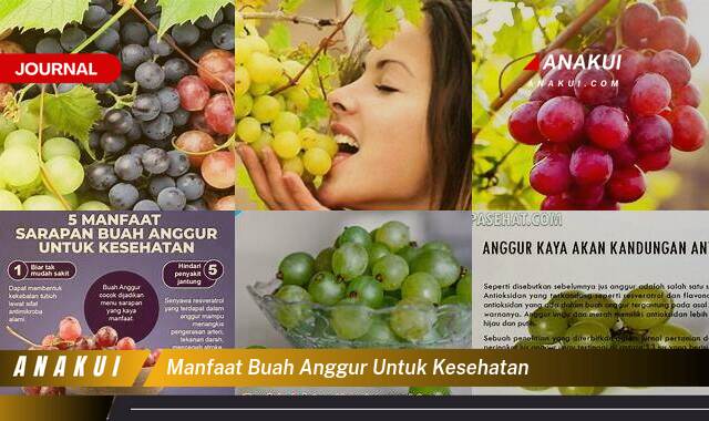 Ketahui 9 Manfaat Buah Anggur untuk Kesehatan yang Wajib Kamu Intip Ketahui 9 Manfaat Buah Anggur untuk Kesehatan yang Wajib Kamu Intip