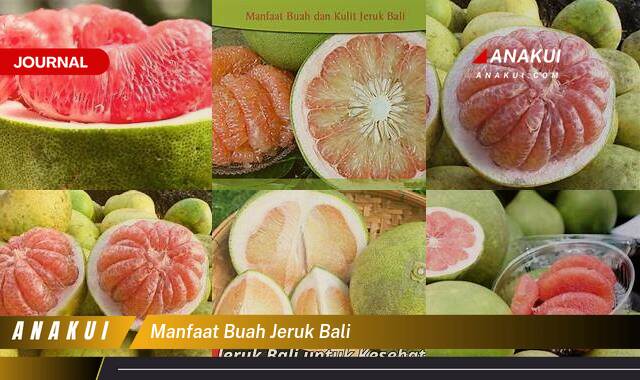 Inilah 8 Manfaat Buah Jeruk Bali yang Tak Disangka Inilah 8 Manfaat Buah Jeruk Bali yang Tak Disangka