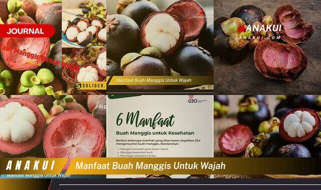 Ketahui 10 Manfaat Buah Manggis Untuk Wajah yang Bikin Kamu Penasaran Ketahui 10 Manfaat Buah Manggis Untuk Wajah yang Bikin Kamu Penasaran