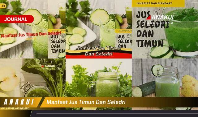 Inilah 9 Manfaat Jus Timun Seledri yang Wajib Kamu Ketahui Inilah 9 Manfaat Jus Timun Seledri yang Wajib Kamu Ketahui