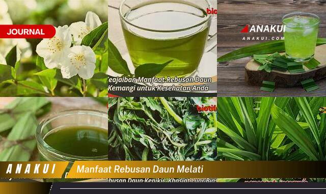 Ketahui 10 Manfaat Rebusan Daun Melati yang Tak Banyak Orang Tau Ketahui 10 Manfaat Rebusan Daun Melati yang Tak Banyak Orang Tau