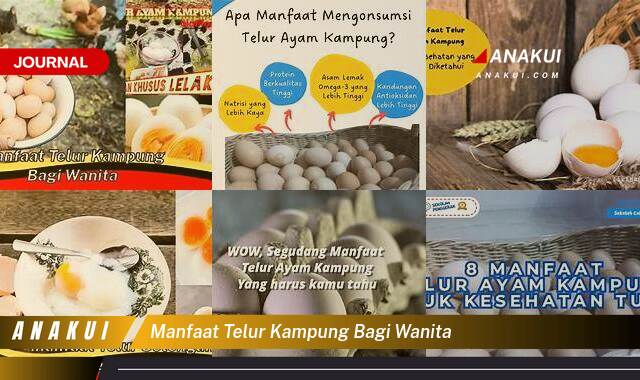Inilah 9 Manfaat Telur Kampung bagi Wanita yang Bikin Kamu Penasaran Inilah 9 Manfaat Telur Kampung bagi Wanita yang Bikin Kamu Penasaran
