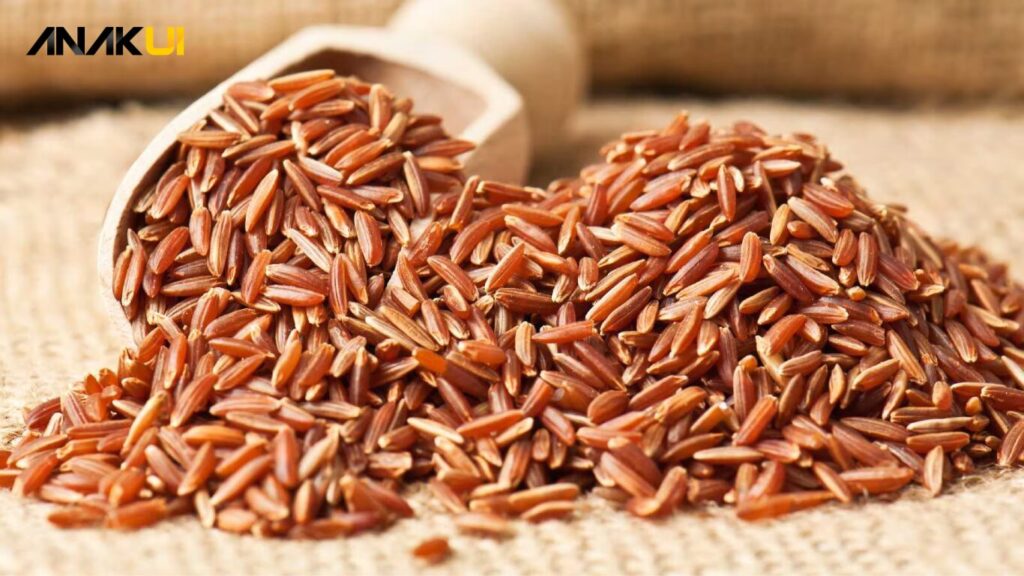 Manfaat Nasi Merah untuk Diet