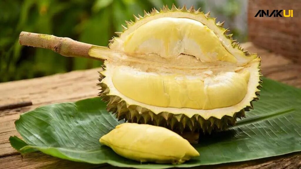 Tips Makan Durian dengan Aman