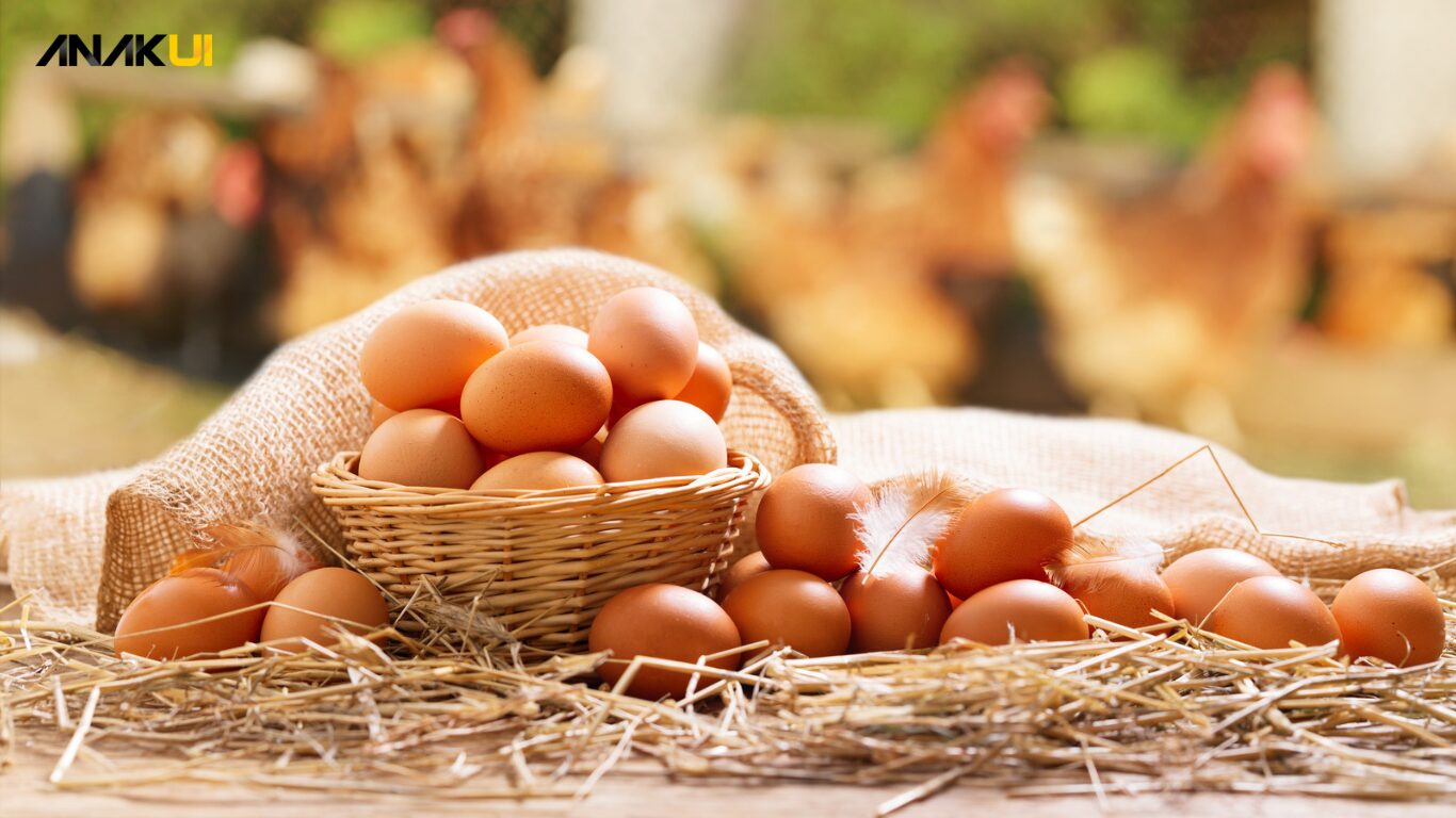 Cara Memilih Telur yang Berkualitas